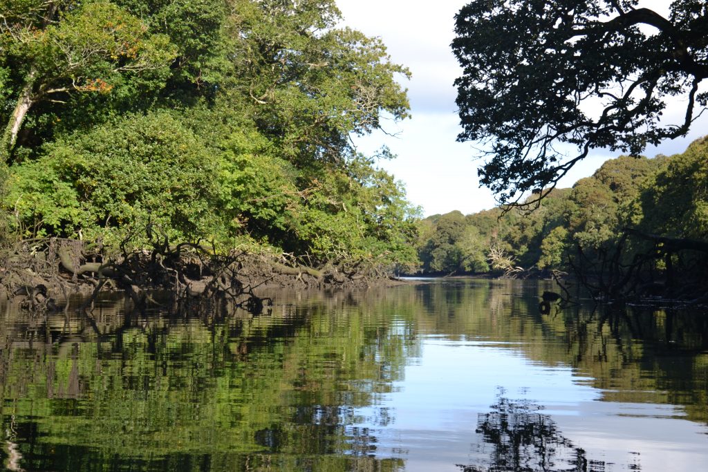 Frenchman's Creek Helford River Cruises