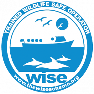 Proud to be a member of WISE member